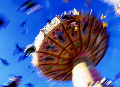 serendipity 03
