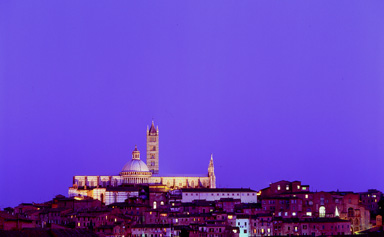 city lights 04