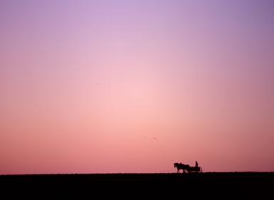splendid solitude 07