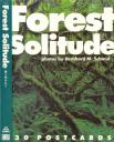 forest solitude