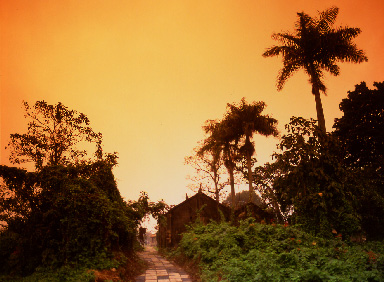 vietnam 01